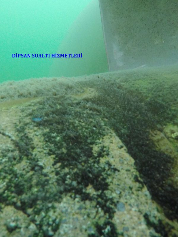 DCIM100GOPROGOPR0049.