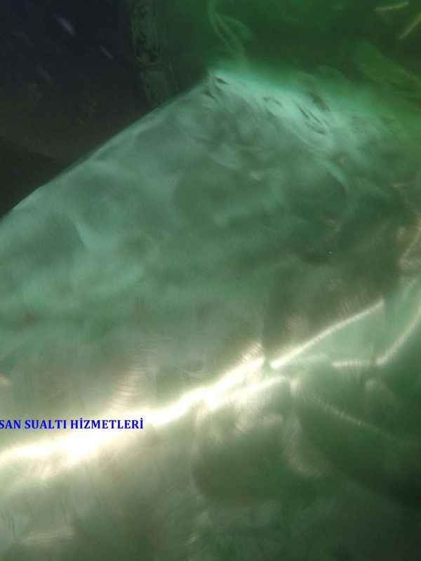 DCIM100GOPROGOPR0113.