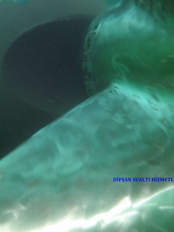 DCIM100GOPROGOPR0114.